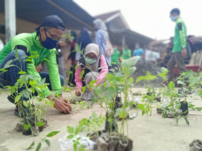 Layanan Kesehatan Cuma Dompet Dhuafa Jawa Tengah menyasar 320 KK penerima manfaat program RT Mapan Gizi dengan mendorong masyarakat memanfaatkan lahan pekarangan agar lebih produktif menanam bibit tanaman obat keluar, sayur-mayur kebutuhan konsumsi rumah tangga, seperti cabai, bayam, pepaya, sawi, terong, dll. foto: humas Dompet Dhuafa